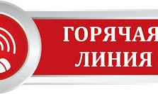 Внимание! Телефоны горячих линий.