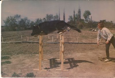 image009